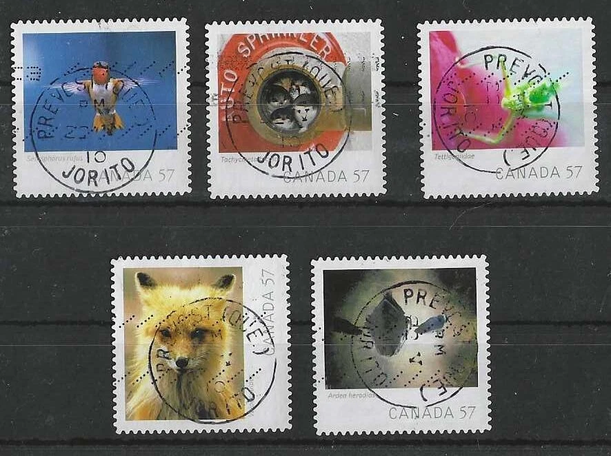 Juego completo de fotografía de vida silvestre 2010 del folleto CDS cancelar usado Foto 1 de 1