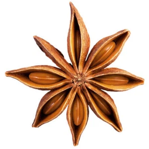 Anise Star Essential Oil - Ready-to-Label Bulk Set of 12 Bottles - Picture 1 of 10