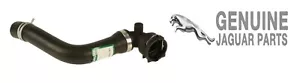 GENUINE Radiator Coolant Hose Lower Jaguar X-Type 01-10 PETROL (PLEASE SEND REG) - Picture 1 of 1