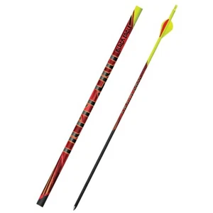 Black Eagle Outlaw Fletched Crested Arrows - .005" 6 Pack - 300 - Flourescent Ye - Picture 1 of 1