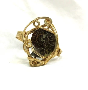 Ammonite Bracelet, Wire Wrap Bracelet, 14K Gold Filled Bracelet, Size 6 1/2 #B15 - Picture 1 of 5