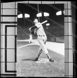 Ted Williams Medium Frame Negative - Jim Rowe Archive H480 - Picture 1 of 1