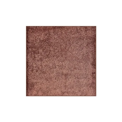 Koeckritz Modern Soft Brown Area Rug - Durable Rugs for Living Rooms & Bedrooms - Image 1 of 4