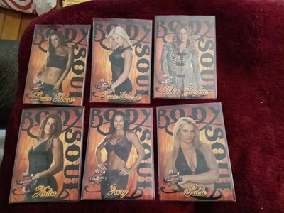 🔥 2005 WWE Divas Body and Soul Insert Set  of 6 💥 Sable, Torrie Wilson, Ivory - Image 1 of 4