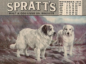PYRENEAN MOUNTAIN DOG OLD SPRATTS CALENDAR ADVERT IMAGE ON GREETINGS NOTE CARD - Picture 1 of 1