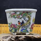 Old Chinese Porcelain color painted Wealth longevity Brush Pots Flowerpots 9158
