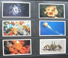 JOHN PLAYER  - DONCELLA - THE LIVING OCEAN -1985 - FULL SET (30) 