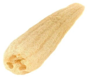 Esponja de baño de belleza SPA Egyptian Loofah 100 % natural, sin procesar. - Imagen 1 de 1