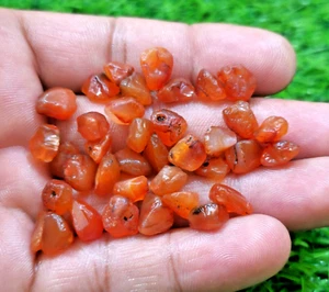 Exquisite37 Pcs Lot For Jewelry Orange Carnelian Raw Size 8-10 mm Loose Gemstone - Picture 1 of 6