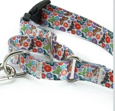 Soft Nylon Martingale Collar for Small Dogs Heavy Duty Fancy Puppy Collar Pets - Image 1 of 4