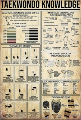 Taekwondo Knowlegde Poster, Home Decor PosterAnniversary Birthday Christmas - Image 1 of 4