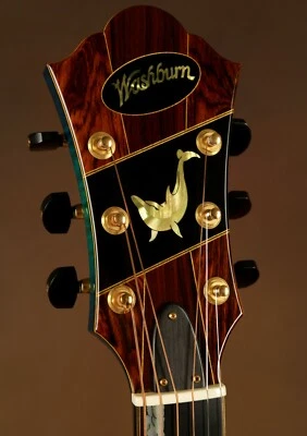 Washburn Blue Dolphin Yuriy Shishkov Masterpiece Archtop Acoustic Guitar - image 1 of 4