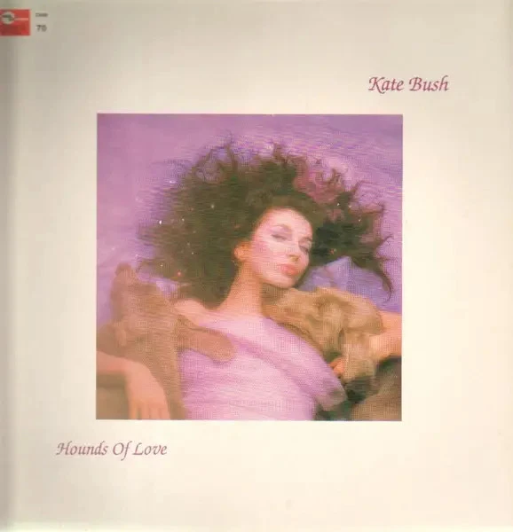 Kate Bush Hounds Of Love NEAR MINT EMI Vinyl LP - Bild 1 von 1