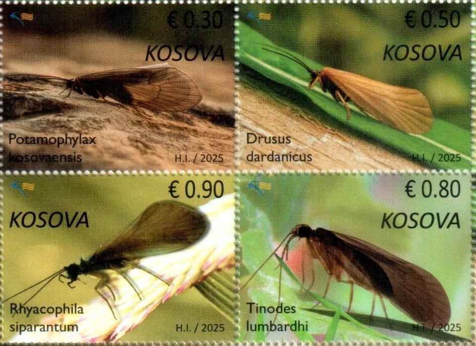 Estampillas de Kosovo 2025. Fauna endémica: Insecto. Set MNH Foto 1 de 1