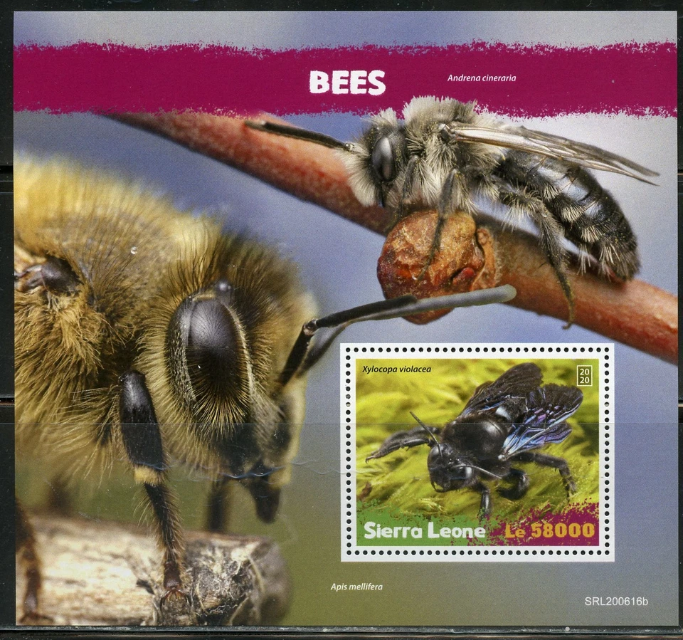 Sierra Leone 2020 Api Souvenir Foglio Mint Nh - Immagine 1 di 1