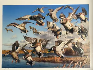 Robert Steiner 25th Anniversary, polyptych, 2006 multi state Duck print.5/30 - Picture 1 of 14
