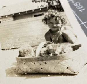 1930er Mädchen mit Korb mit Kätzchen Texas Kinder Vintage Foto Portrait  - Bild 1 von 8