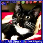 Au 12X12 Inch Full Round Diamond Painting Long Whisker Black Cat Wall Picture Se