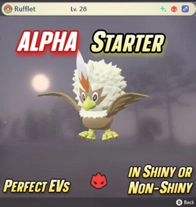 RUFFLET ALPHA SHINY STARTER 🌟 Pokemon Legends: Arceus | EV Trained - Picture 1 of 3