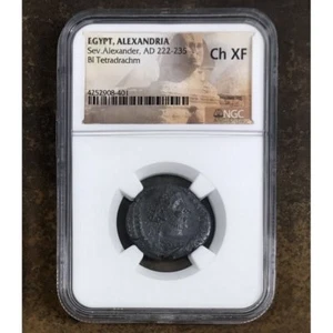 Ägypten, Alexandria Sev. Alexander, AD 222-235 NGC Ch XF ***Rev. Tye's** #8401145 - Bild 1 von 4