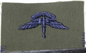 US Air Force Basic Military Freefall Parachutist Badge Insignia OD Fatigue Patch - Picture 1 of 1