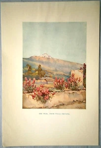 ISOLE CANARIE, TENERIFE: "Il Picco, da Villa Orotava", piatto a colori, 1911., #3 - Foto 1 di 1