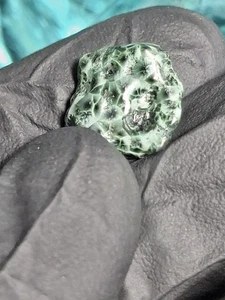 Polished Michigan Isle Royale Greenstone Chlorastrolite Turtleback Green 💚Stone - Picture 1 of 12
