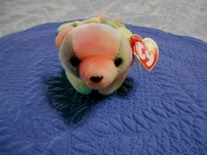 TY Beanie Baby SAMMY Bear 1999 Tush Tag Swing Tag Gasport Tag Error - Picture 1 of 10