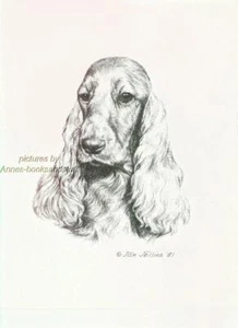 #289 ENGLISH COCKER SPANIEL dog art print Pen & ink drawing by Jan Jellins - Picture 1 of 1