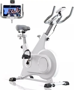LSBIKE Exercise Bike Professional Indoor Cycling Bike Spin Bike for Home Gym Use - Picture 1 of 8