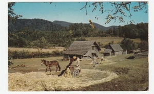 Vintage Postcard Beautiful Northeast Georgia Cabin Horse Barn Mountains - Picture 1 of 2