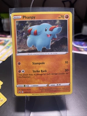 Phanpy SWSH117 SWSH: Sword & Shield Promo Cards Holo - Image 1 of 4