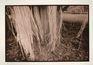 Michael Becotte / LUMINATIONS TWENTY OFFSET LITHOGRAPHS Signed 1st Edition 1977 - Picture 1 of 3