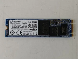 Kingston RBUSNS8154P3256GJ1 256 GB NVMe 80 mm SSD - Foto 1 di 6