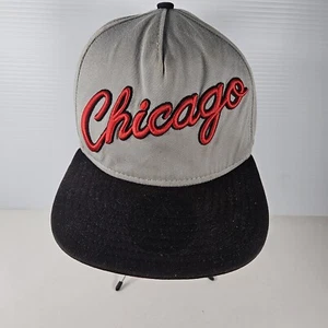 Chicago Bulls New Era 9Fifty Cap Hat Snapback Hardwood Classics NBA Gray Black - Picture 1 of 13