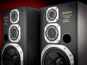 Sony SS-D501 ๐RaRe๐ Altoparlanti da scaffale stereo vintage premium - Foto 1 di 7