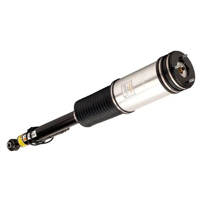 For Mercedes-Benz S430 99-06 Rear Driver Side Air Twin-Tube Non-Adjustable Strut Foto 1 de 4