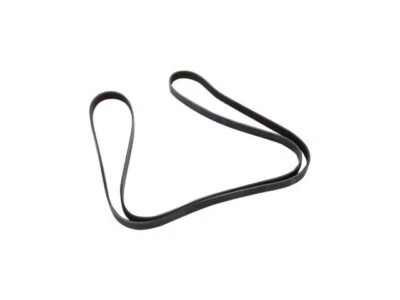 Cinturón multi costilla para Chevrolet Colorado 2016-2022 AC Delco 92728CTJR Foto 1 de 2