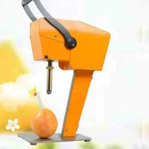 Commercial Electric Orange Juicer Extractor Machine Fresh Juice Blender - Picture 1 of 6
