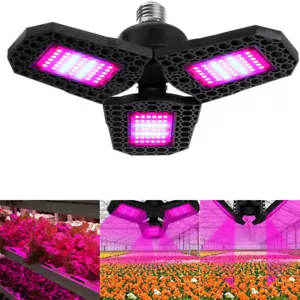 Faltbare E27 LED Grow Light Vollspektrum Lampe für Hydrokultur Pflanze Gemüse Blume - Bild 1 von 11