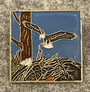 Nido de águila calva pájaro árbol volador rama aterrizaje huevos esmalte EE. UU. Vintage prendedor de solapa - Imagen 1 de 14