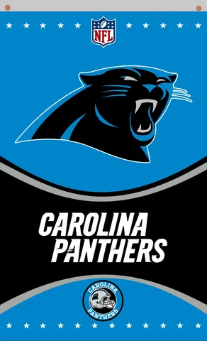 Carolina Panthers football team Memorable Black flag 90x150cm 3x5ft best banner Cover