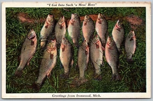 Ironwood Michigan 1940s Greetings Postcard Fish Catch - Picture 1 of 2