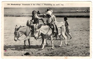 Donkey ride beach children retro postcard °1960 Belgian coast Blankenberge - Picture 1 of 2