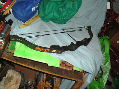 Arco para niños Golden Eagle Brave arco compuesto juvenil camuflaje Foto 1 de 4