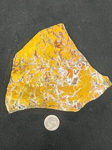 Espositore per cablaggio 5-3/4" x 6" x 3/16" Stone Canyon Stoney Creek lastra di diaspro - Foto 1 di 4