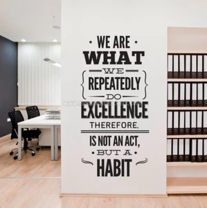 WE ARE WHAT WE REPEATEDLY DO Office Removable Wall Decal Quote Stickers Decor - Picture 1 of 1