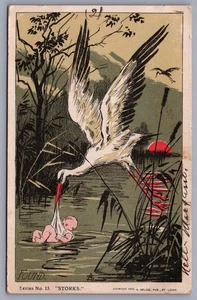 Found Baby Storks Series No. 13 UDB Postcard M7 - Picture 1 of 3
