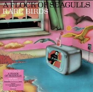 New A FLOCK OF SEAGULLS Rare Birds Clear Vinyl Record Store Day B Sides RSD 2023 - Picture 1 of 4