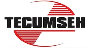 NEU - Tecumseh Vergasermutter 632147 - Bild 1 von 1